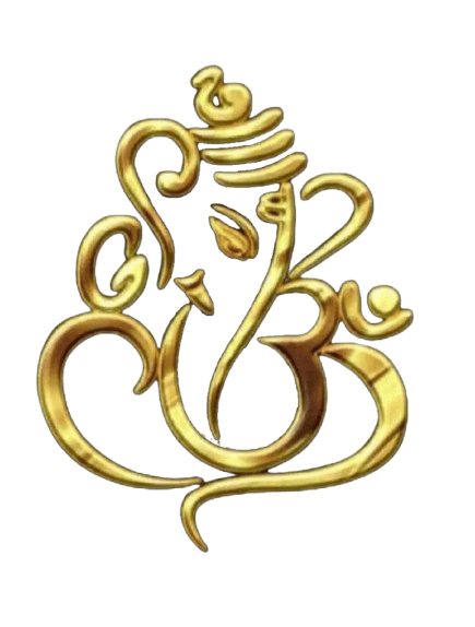 VIGHNRAJ MULTITRADE SERVICES PRIVATE LIMITED